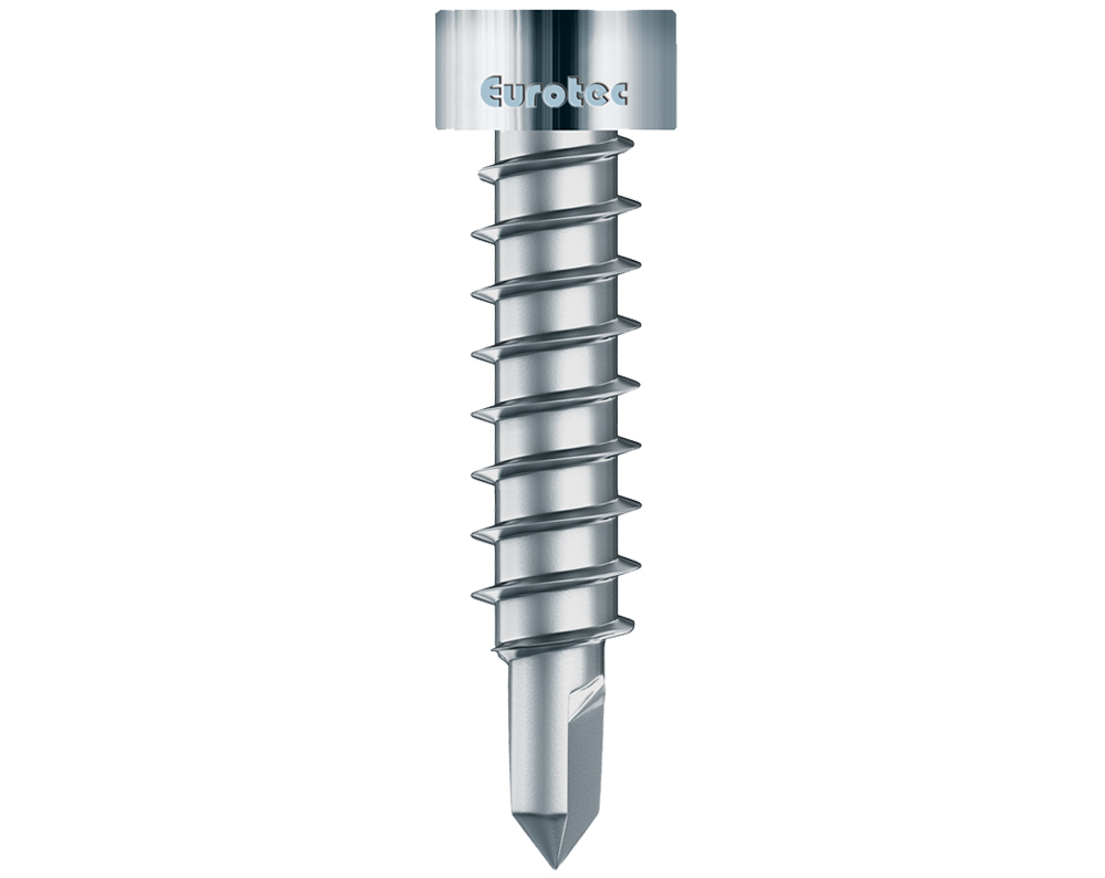 Thermofix screw with drill point