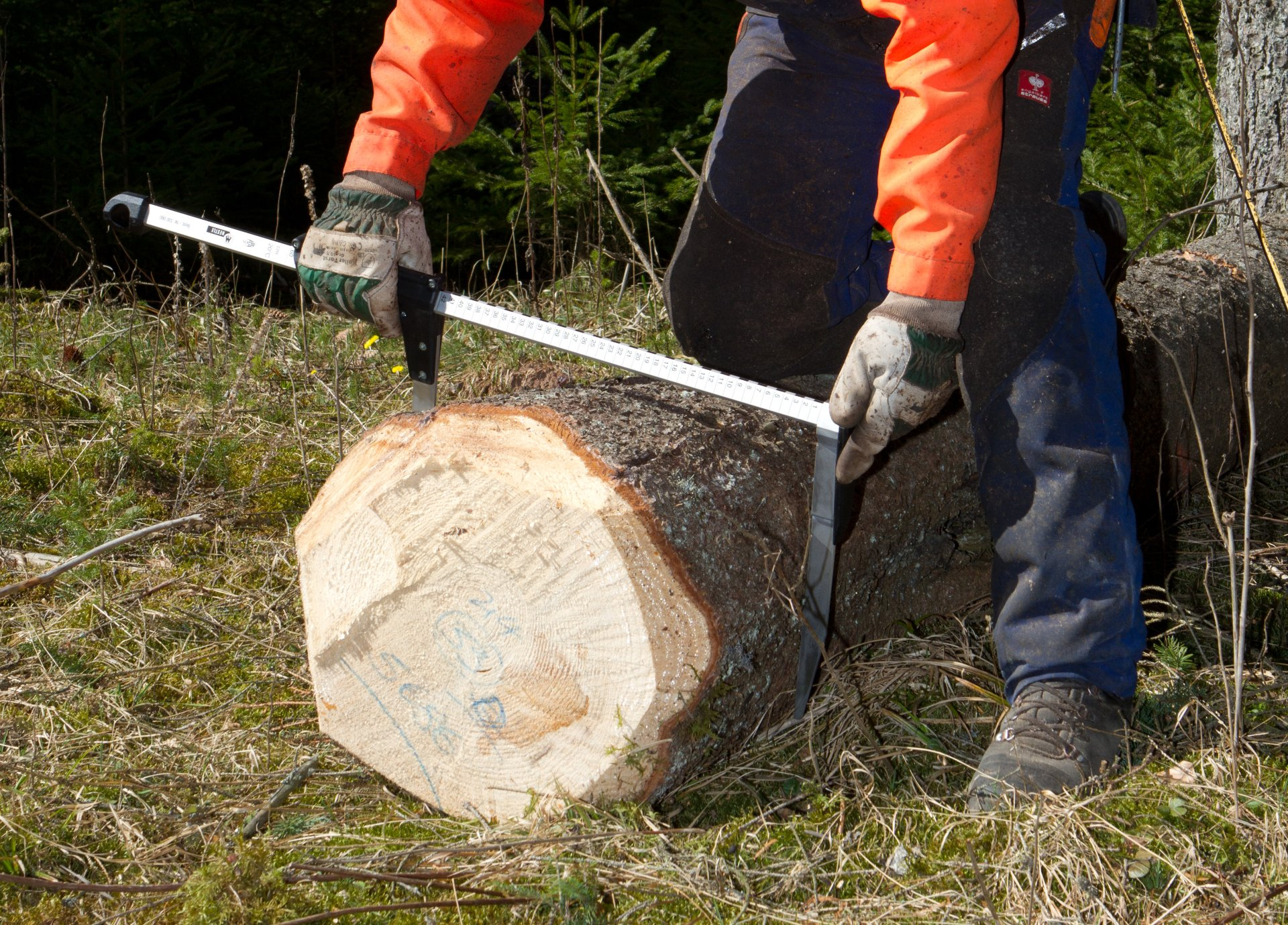 Messkluppe WALDFREUND Kluppe geeicht Forst Forstbetrieb Messhilfe Baum Stamm 