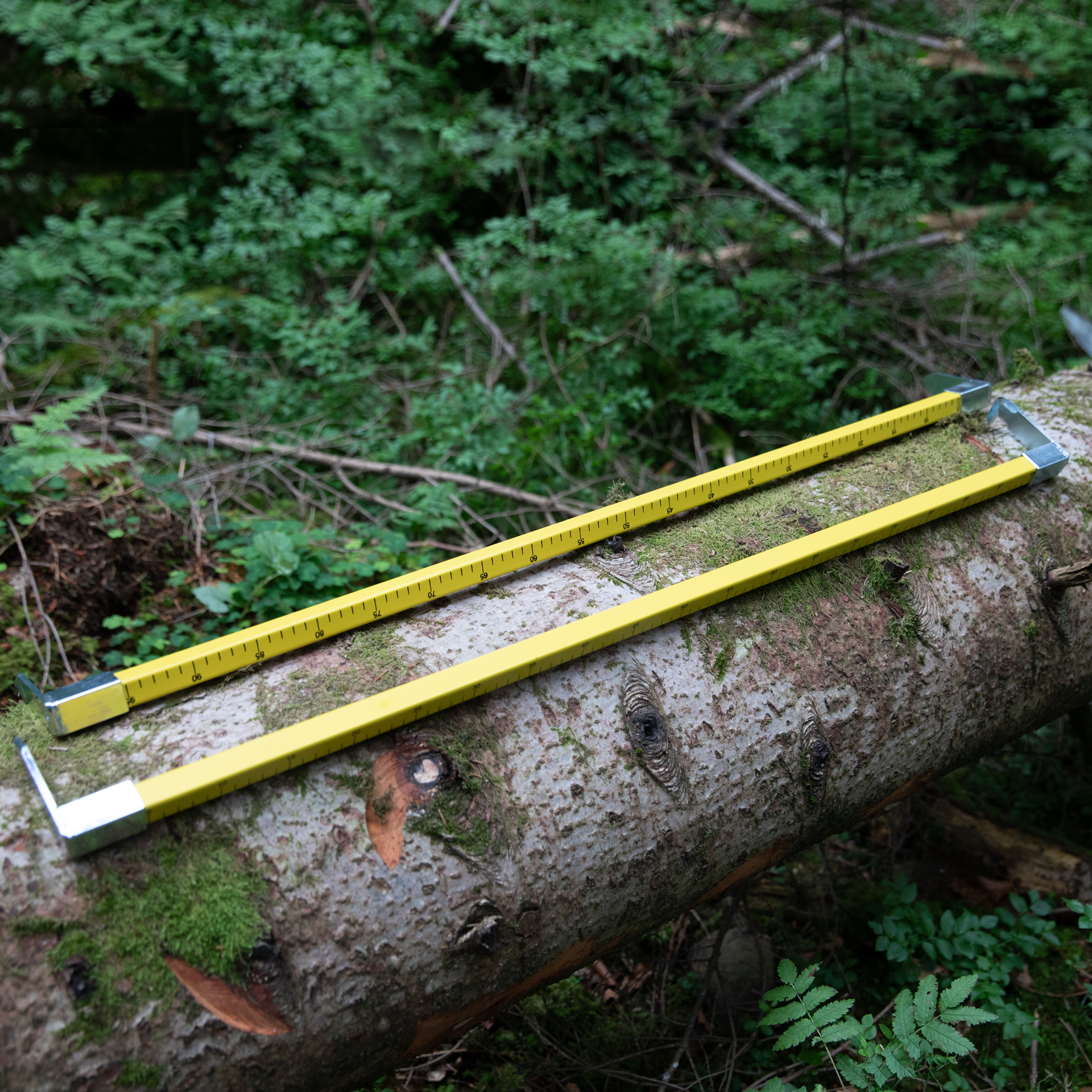NESTLE Anreißmeterstock 100 cm, Holz, mit zwei Spitzen